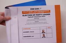 Debate Room: Simon Harris and Paschal Donohoe debate the leadership candidates