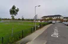 Man who fired 37 shotgun rounds at gardaí jailed for 10 years