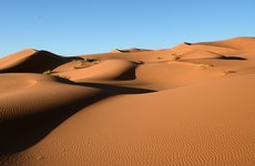 Over 40 people including women and infant children die of thirst in Sahara desert