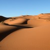 Over 40 people including women and infant children die of thirst in Sahara desert
