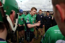 Hickey, Canning and Shefflin honoured in Fitzgibbon centenary team