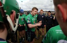 Hickey, Canning and Shefflin honoured in Fitzgibbon centenary team