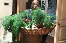 Jamie Oliver jumped into Oprah's Instagram comments to correct her on the herb in a photo - and call her 'mate'