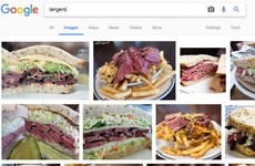 Here's what happens when you type 'langers' into Google Images