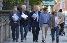 Independent Alliance have 'very constructive and very satisfactory' meeting with Leo Varadkar