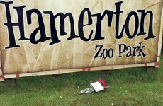 Tiger that killed a zookeeper in the UK won't be put down