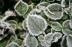 Freezing fog and ice to make driving conditions dangerous