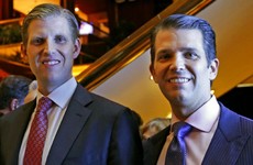 Donald Trump's sons launch hotel chain inspired by election campaign