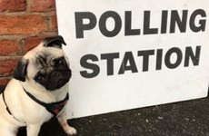 Once again the adorable #DogsAtPollingStations hashtag is the best thing about UK election day