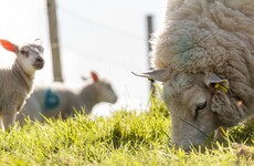 'People think environmentalists want to destroy farming. This is sad and unfortunate'