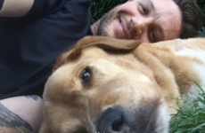 Tom Hardy's beloved dog Woody passed away, and he's written the most heartbreaking tribute