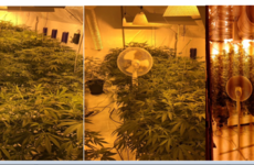 Four men arrested after these drugs were seized