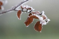 Cold snap to break over weekend