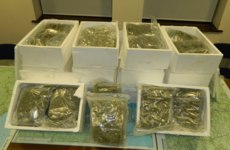 Gardaí seize €600k worth of cannabis after searching a car in north Dublin