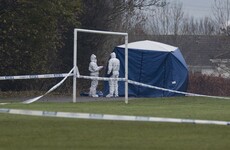 Armed gardaí arrest two men in investigation into murder of well-known criminal