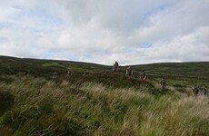 Man in his 30s arrested in connection with discovery of woman's remains in Wicklow Mountains