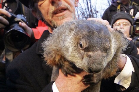 Groundhog Club handler Ron Ploucha holds Punxsutawney Phil, the weather prognosticating groundhog, during the 126th celebration of Groundhog Day on Gobbler's Knob in Punxsutawney, Pennsylvania earlier today