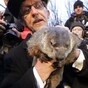 Happy Groundhog Day! But what's it all about?