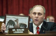Republican congressman shot at baseball game 'remains in critical condition' tonight