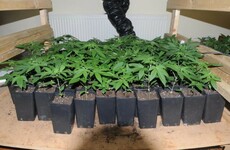 Gardaí responding to house fire uncover cannabis worth €500,000
