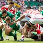 Joe Schmidt's Ireland leapfrog Australia into third in latest world rankings