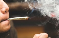 'We're getting 500 CVs a day': Why people are lining up to join America's cannabis industry