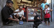 Meet Khagendra Thapa Magar: the world's newest smallest man