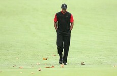 Tiger Woods says he is receiving 'professional help to manage his pain medications'