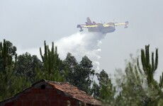 Prime Minister demands 'immediate answers' as forest fires continue to rage in Portugal