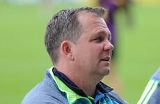 Davy Fitzgerald '100% considering' watching Wexford's Leinster final from high in the stands