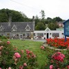 Cork village named overall winner of Ireland's Best Kept Town Awards
