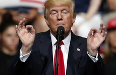 Donald Trump just had an idea -- Make the Mexican border 'a solar wall so it pays for itself'