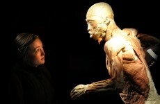GALLERY: A quick look inside the controversial Human Body exhibition