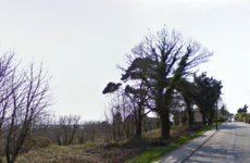 Woman (80s) dies in Wicklow house fire this afternoon