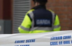 Gardaí dig on Dublin's commuter belt land for Kinahan money and guns