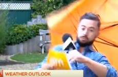 TV3's Deric Hartigan is going viral worldwide after being blown away on live telly last week