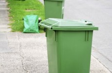 Almost 600,000 tonnes of packaging were recycled in Ireland last year