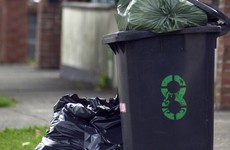 'Who is going to pick it up?': Donohoe hits back at those trying to block new bin charges scheme