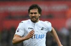 Swansea star breaks arm in freak off-season accident