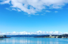 Letter from New Zealand: Welcoming Wellington hits the spot