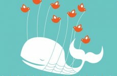 When politicians let loose on Twitter: top 5 political posts