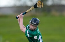 Mulcahy shoots 15 points as Limerick deny three-goal Devane and Tipp