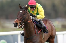 Sizing Europe warms up for Cheltenham with Punchestown win