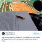 A sports commentator on Twitter is getting slagged for using the same pencil for the last 10 months