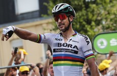 World champion Sagan disqualified from Tour de France for causing Cav' carnage