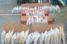 €730,000 worth of cannabis found at Dublin Port concealed in truck carrying farm machinery