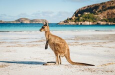 Letter from Down Under: 'Our attorney general argued that people have the right to be bigots'
