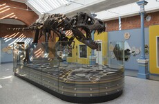 Dublin Zoo's latest attraction is...dinosaurs