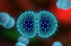 Gonorrhoea 'sometimes impossible' to treat due to antibiotic-resistance - WHO