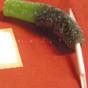 Bags of sweets withdrawn by FSAI due to sharp plastic sticks in packs